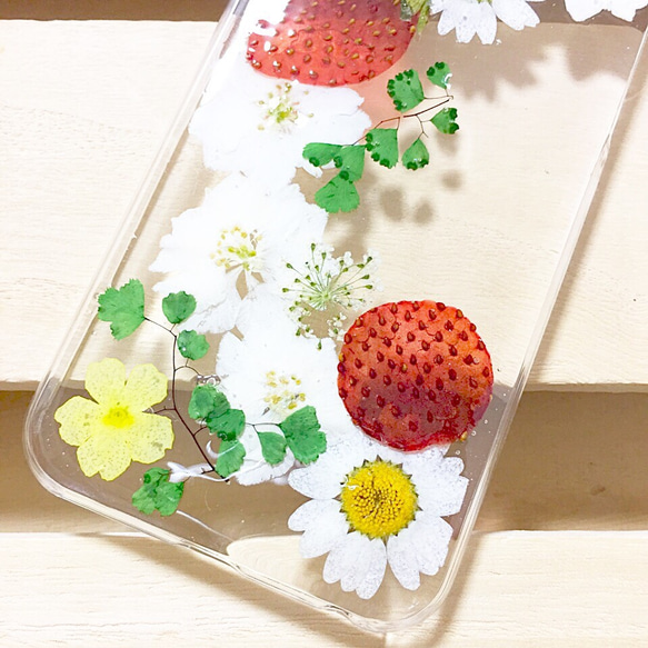 春が来た 果物 いちごの押し花 iPhoneケース 3枚目の画像