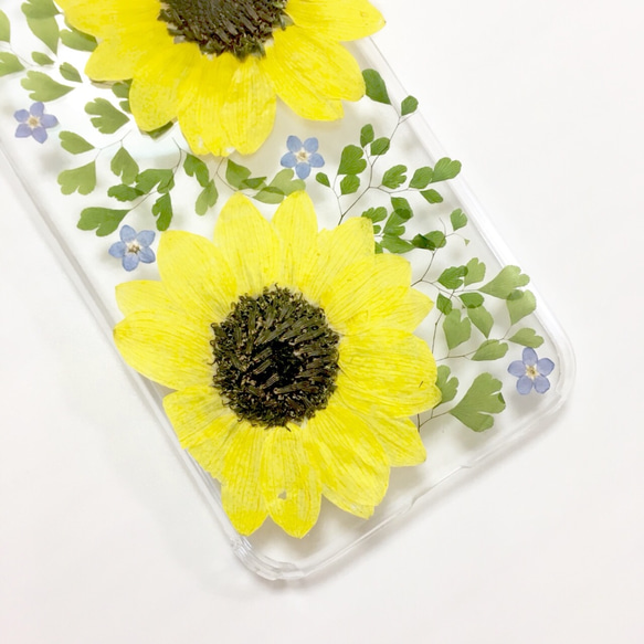 ひまわりの押し花 iPhone ケース 3枚目の画像