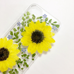 ひまわりの押し花 iPhone スマホ ケース 3枚目の画像