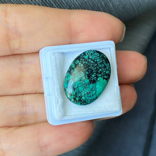 人気者☆スパイダーウェブターコイズ ブラックウェブ Turquoise 人気者☆スパイダーウェブターコイズ ブラックウェブ Turquoise