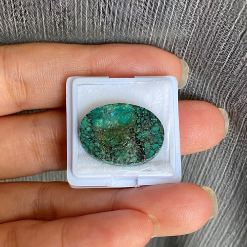 人気者☆スパイダーウェブターコイズ ブラックウェブ Turquoise 人気者☆スパイダーウェブターコイズ ブラックウェブ Turquoise
