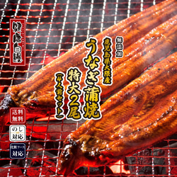 【送料無料】無投薬｜鹿児島県大隈産 有頭うなぎ蒲焼き 特大2尾（約400g・4人前）国産｜ギフト/春/母の日/父の日に 1枚目の画像