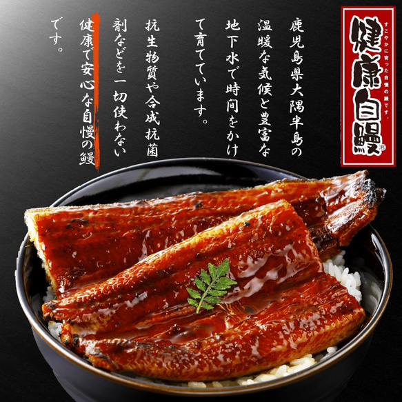 【送料無料】無投薬｜鹿児島県大隈産 有頭うなぎ蒲焼き 特大2尾（約400g・4人前）国産｜ギフト/春/母の日/父の日に 3枚目の画像