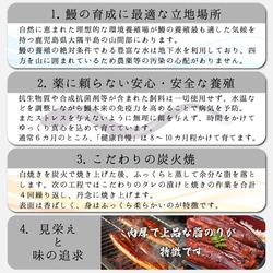 【送料無料】無投薬｜鹿児島県大隈産 有頭うなぎ蒲焼き 特大2尾（約400g・4人前）国産｜ギフト/春/母の日/父の日に 4枚目の画像