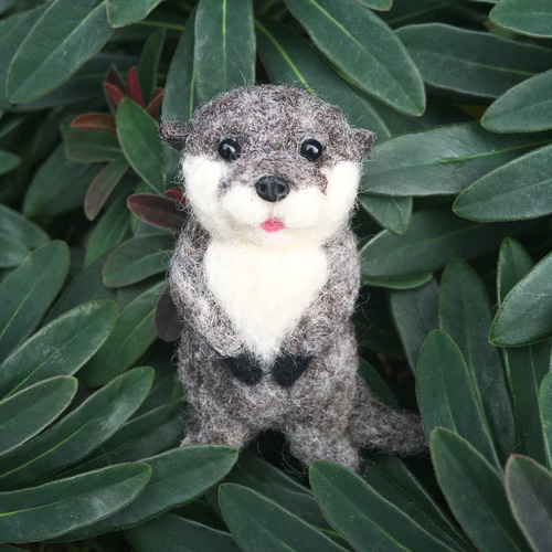 羊毛フェルト コツメカワウソ