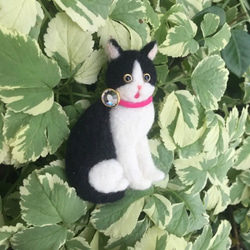 羊毛フェルト　ハチワレ猫　ブローチ 3枚目の画像