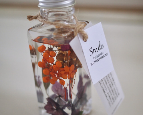 ハーバリウム（S） ハーバリウム・植物標本 FLOWER*FORTUNE 通販