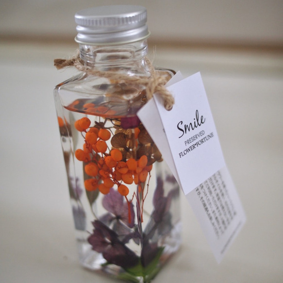 ハーバリウム（S） ハーバリウム・植物標本 FLOWER*FORTUNE 通販