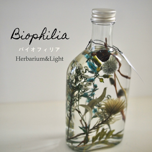 Biophilia  ハーバリウム＆ライト