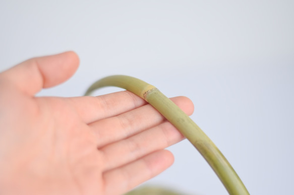 会津おうちランタン　 7枚目の画像