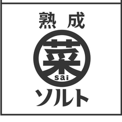 熟成菜ソルト３種セット【アウトドアスパイス】 1枚目の画像