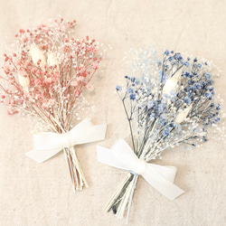 0_b205bff9986e0fb7a44299733479