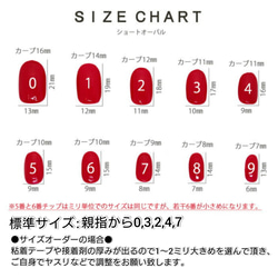 サイズ確認用ネイルチップ 4枚目の画像