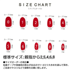 サイズ確認用ネイルチップ 5枚目の画像