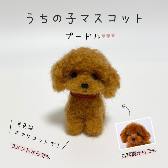 プードル うちの子マスコット オーダー 犬 羊毛フェルト 羊毛フェルト 