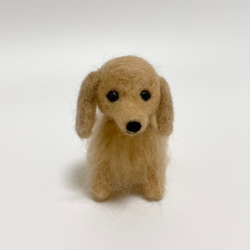 七夕 織姫と彦星 トイプードル マルチーズ ☆ 犬 羊毛フェルト ミニチュア 七夕 織姫と彦星 トイプードル ☆ 犬 ぬいぐるみ 羊毛フェルト