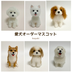 0_c381caac3603a8e9c1e6840182a8