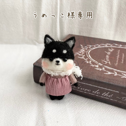 梅雨 カエルセット 羊毛フェルト 羊毛フェルト koyuki 通販