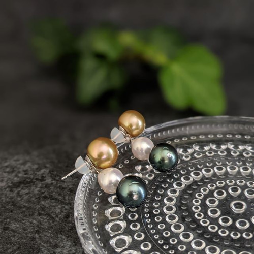 k14 WG南洋ゴールデン真珠ピアス〔D