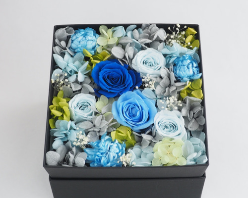 0_49952e0d6e4d6055e5b35b4db4dd