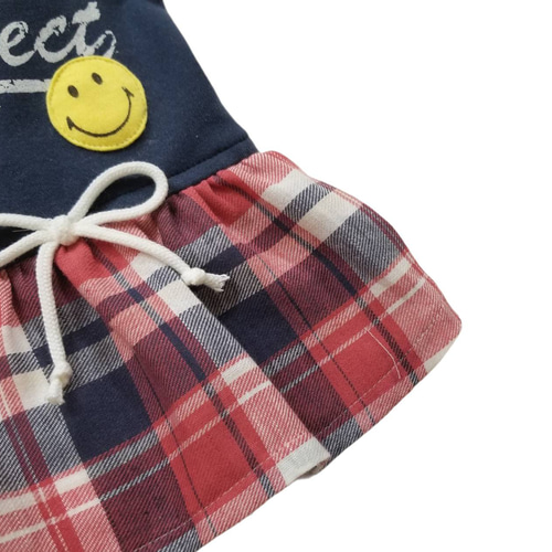 犬服アメリカンニコちゃんワッペンデザインワンピースフード付き 見本