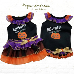 【再販×②】✩ハロウィンカーニバルトップス✩.*˚Koguma-dress・犬服 1枚目の画像