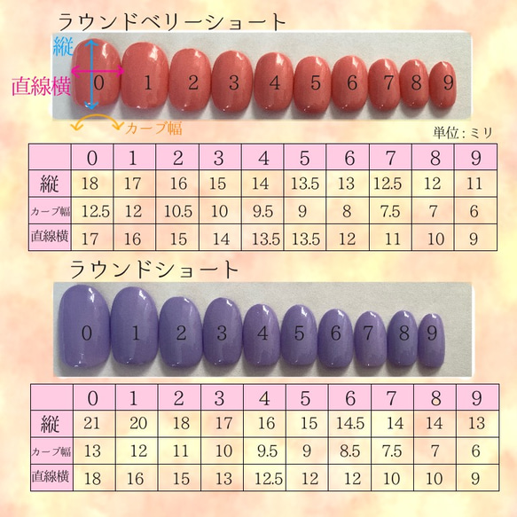 計測用ネイルチップ 5枚目の画像