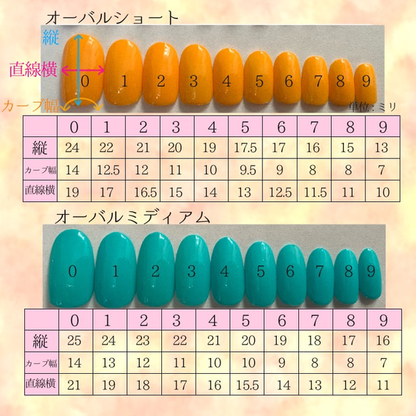 計測用ネイルチップ 6枚目の画像