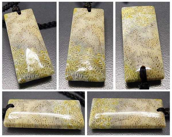 逸品希少天然石菊花石化石ペンダントトップネックレス石街14 3枚目の画像