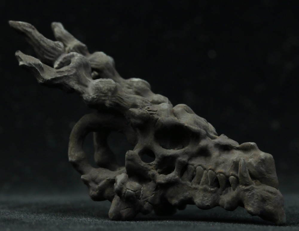 ドラゴンヘッドゴシックペンダント、シルバースカルペンダント、オルタナティブファンタジージュエリー、ゴシックペンダントダー