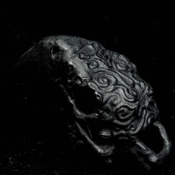 頭蓋骨のネックレス、オウムの頭蓋骨、頭蓋骨の魔女のネックレス、鳥のネックレス、野生動物のネックレス、彼女へのギフト 2枚目の画像