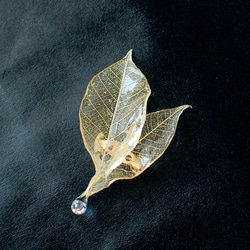 ジルコニアの雫きらめく朝露リーフブローチ琥珀色✴︎パラゴムの葉 3枚目の画像
