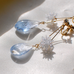 花びらの雫と雪の結晶✴︎デルフィニウムライトブルー・ピアス