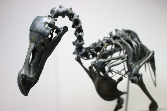 【受注生産】【高さ約21cm】 ドードーの縮小全身骨格模型【Dodo Squelette】 4枚目の画像