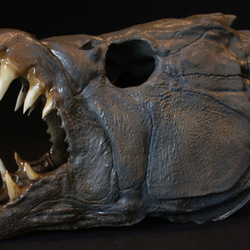 ゴリアテタイガー20cm前後