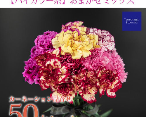 カーネーションさん専用 相談02904】ガーデンカーネーション（赤/青ポット）3.5寸 - 正花園