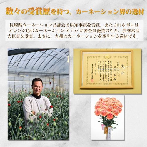 【原画】草花の詰め合わせ 18cm×18cm_ホワイトリーフとゴールドかすみ草_テクスチャー