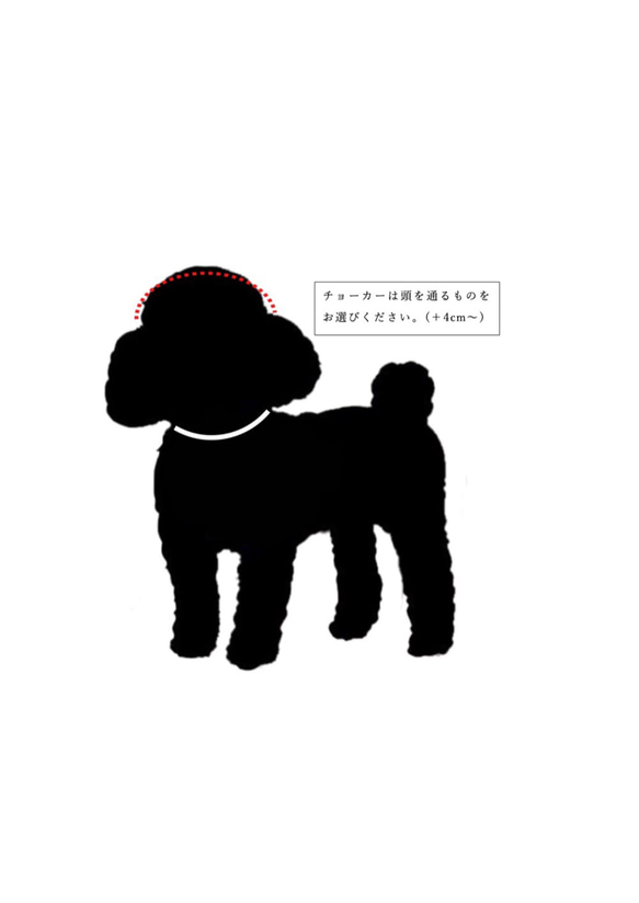 小型犬用　MEARISオリジナル本革チョーカー(オーダー無料) 6枚目の画像