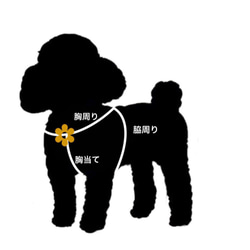 小型犬用　MEARISオリジナル本革ハーネス　フルオーダー可能(無料) 5枚目の画像