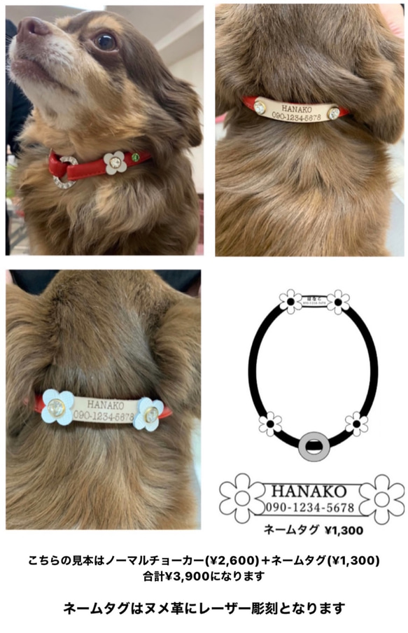 小型犬用　MEARISオリジナル本革チョーカー (迷子札) 8枚目の画像