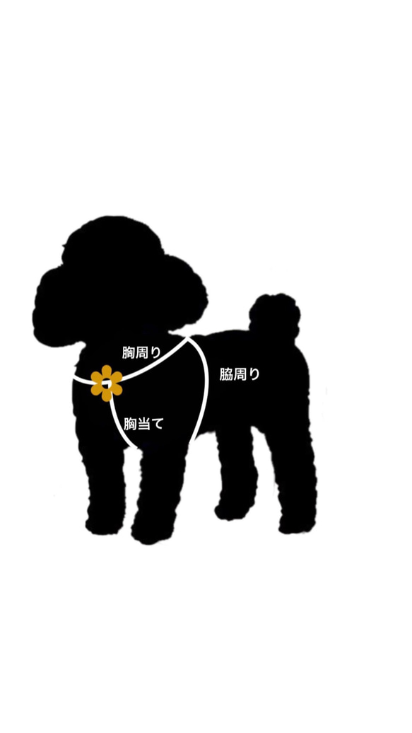 小型犬〜中型犬用　MEARISオリジナル本革ハーネス　　フルオーダー可能(無料) 7枚目の画像