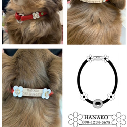小型犬用　MEARISオリジナル本革チョーカー (迷子札) まゆはなちゃん様専用オーダーページ 7枚目の画像