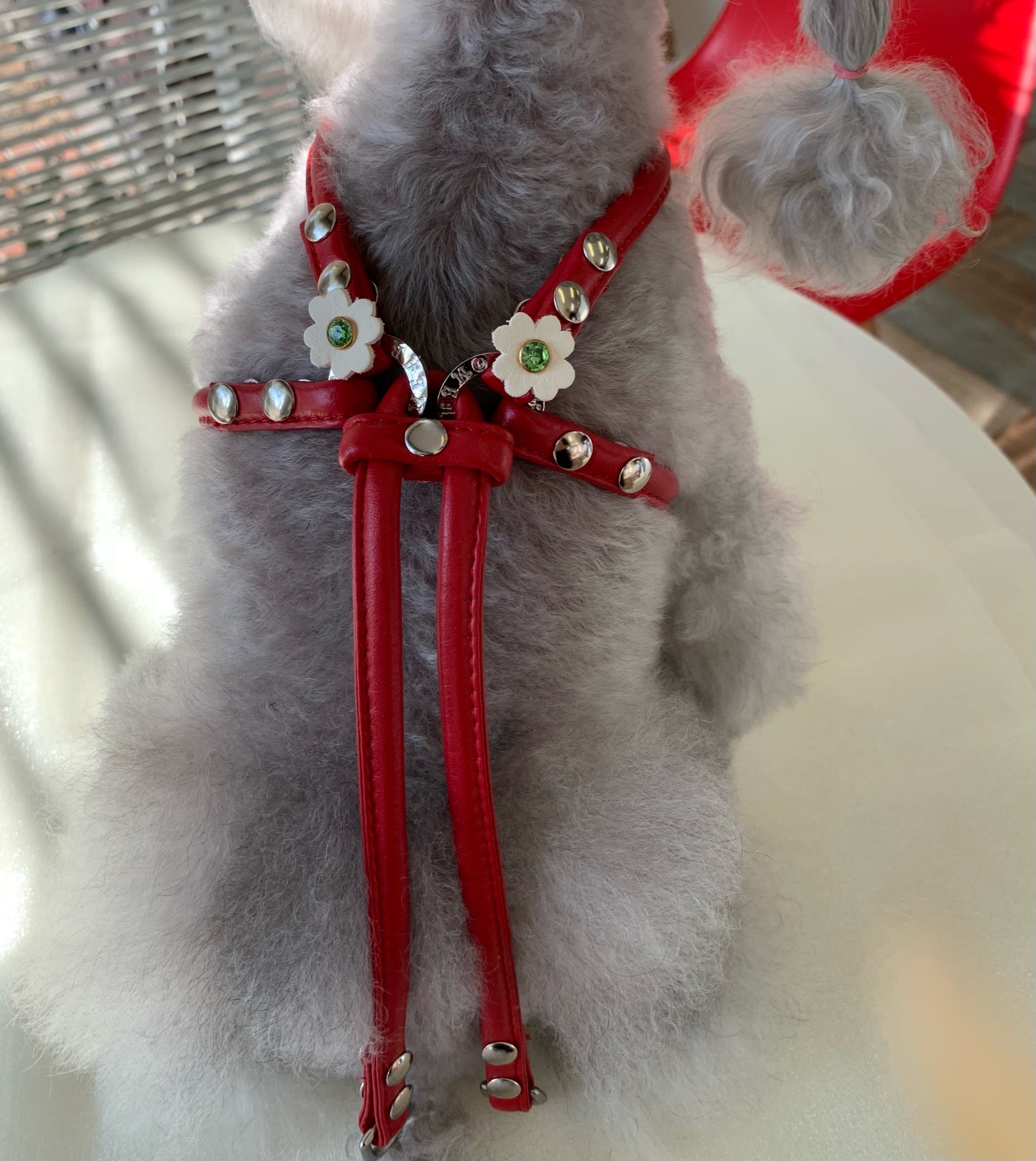 小型犬用　MEARISオリジナル本革ハーネス(受注製作)    キラキラ文字ネーム入り(6文字まで)