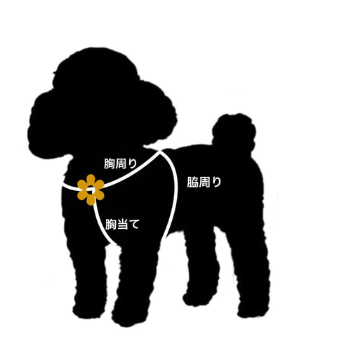 未使用⭐️エルメス⭐️小型犬用⭐️TAROネーム入り 未使用⭐️エルメス⭐️小型犬用⭐️TAROネーム入り 犬服