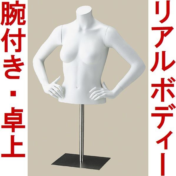 ReBody PE メンズ トルソー マネキン ③ rebody 強う pe トルソー マネキン ボディ メンズ