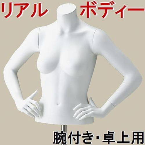 稀有品婦人用トルソー・ボディ・マネキン・白色 婦人腕付きFRPボディ FT351｜トルソー（FRP）レンタルなら