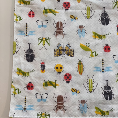 ランチョンマット 両面 昆虫 蝶々 幼稚園 入園グッズ 男の子