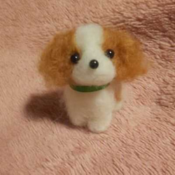 羊毛フェルトハンドメイドトイプードルピアス あみぐるみ moemo 通販
