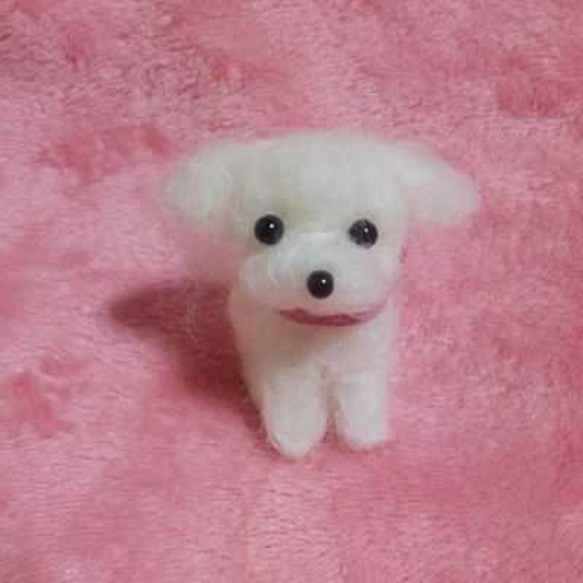 作家さまふわふわマルチーズのぬいぐるみテディベアハンドメイド