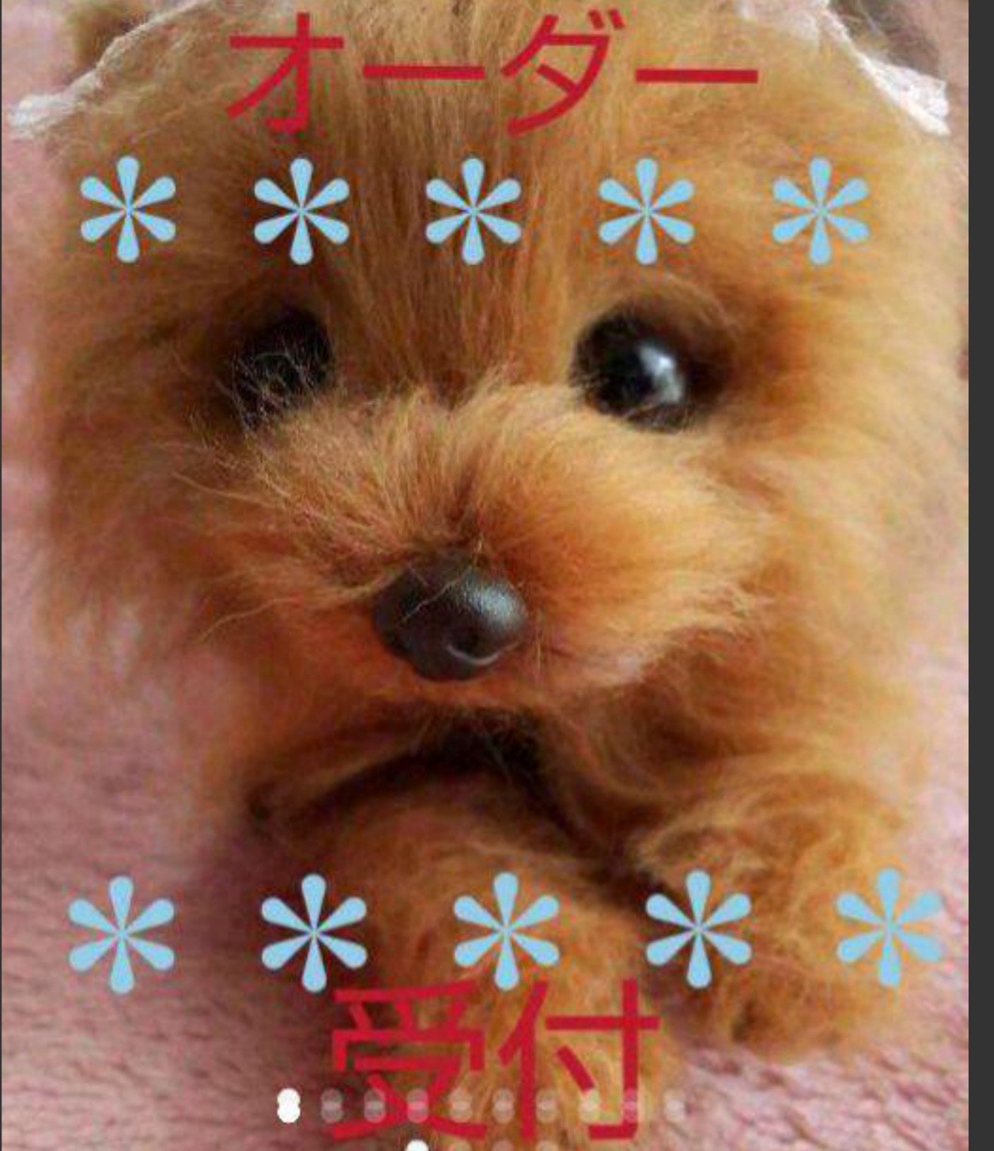 受注製作 羊毛フェルトハンドメイド